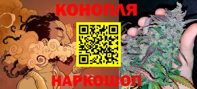 индика Аша