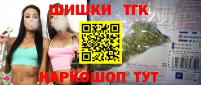 индика Аша