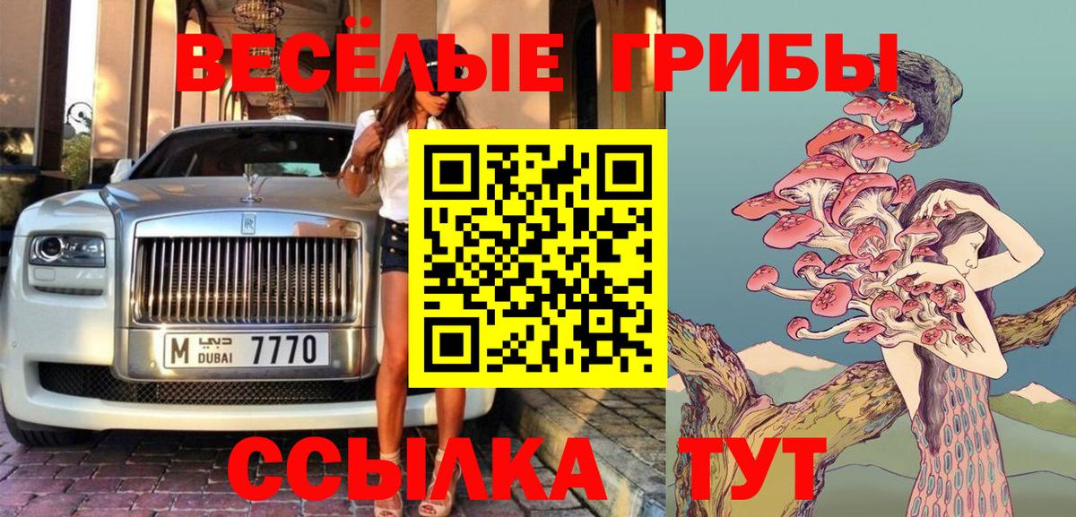 Донской  купить наркотик  Вход с VPN  Псилоцибиновые грибы прущие грибы  Псилоцибиновые грибы MAGIC MUSHROOMS 