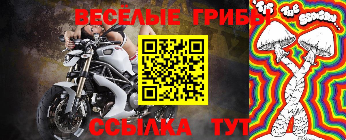 Псилоцибиновые грибы MAGIC MUSHROOMS Донской